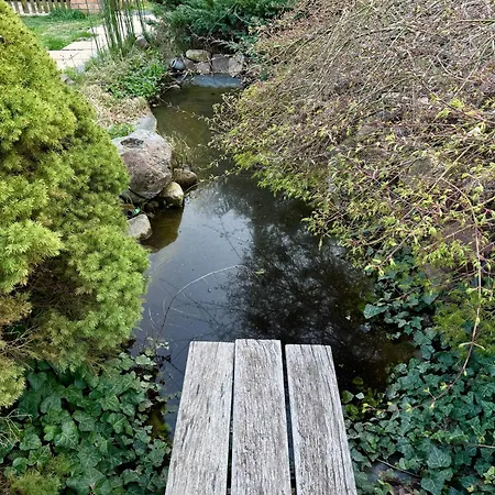 Am Mescheriner *