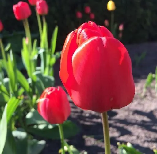 Am Mescheriner Сasa de vacaciones *